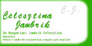 celesztina jambrik business card
